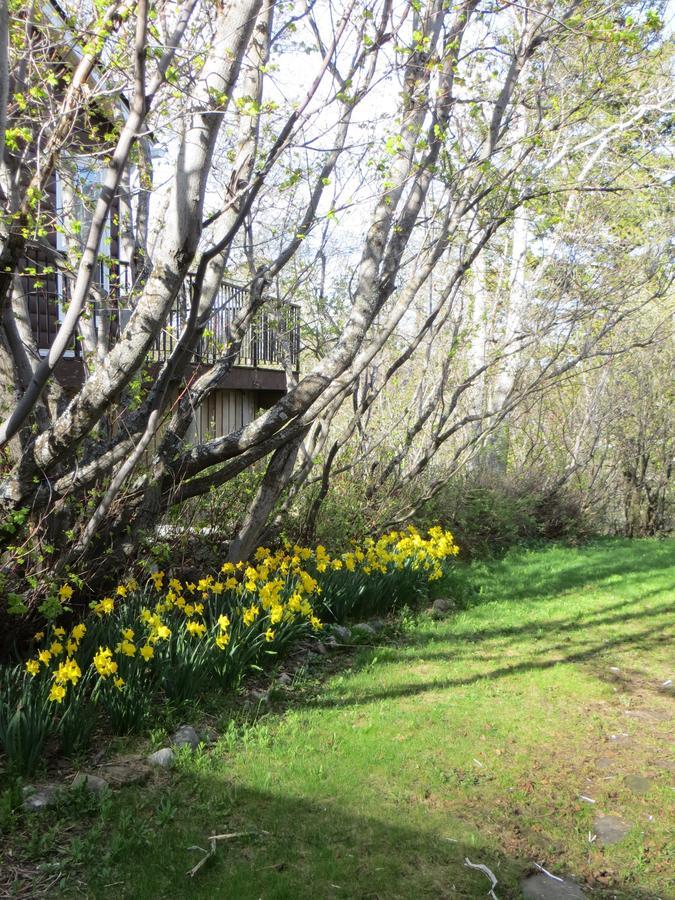 Bed & Breakfast Northland 3*